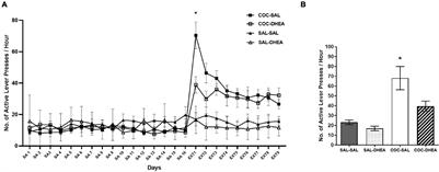 The Effect of Dehydroepiandrosterone Treatment on Neurogenesis, Astrogliosis and Long-Term Cocaine-Seeking Behavior in a Cocaine Self-Administration Model in Rats